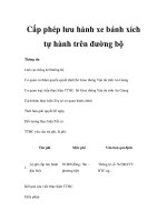 Cấp phép lưu hành xe bánh xích tự hành trên đường bộ pptx