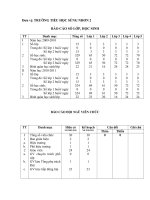 báo cáo số liệu SN 2