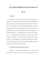 CÁC CHỨNG BỆNH VÙNG CỘT SỐNG CỔ (Kỳ 1) pps