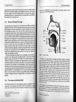 Gimson''''s pronunciation of english part 3 docx