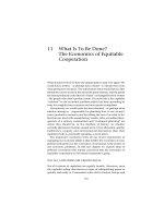 Economics and Liberating Theory - Part 11 doc