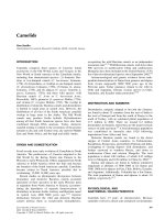 Encyclopedia Of Animal Science - C pps