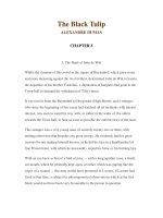 LUYỆN ĐỌC TIẾNG ANH QUA CÁC TÁC PHẨM VĂN HỌC –The Black Tulip ALEXANDRE DUMAS CHAPTER 3 docx