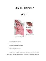 SUY HÔ HẤP CẤP (Kỳ 2) pdf