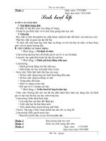 Giáo án chủ nhiệm