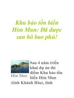 Khu bảo tồn biển Hòn Mun: Đã được san hô bao phủ! pot