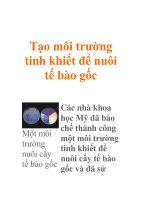 Tạo môi trường tinh khiết để nuôi tế bào gốc potx