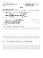 Đề kiểm tra 1 tiết khối 11