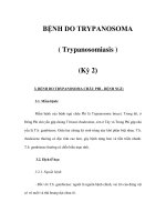 BỆNH DO TRYPANOSOMA ( Trypanosomiasis ) (Kỳ 2) pdf