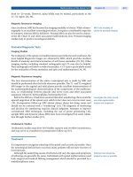 Spinal Disorders: Fundamentals of Diagnosis and Treatment Part 83 pdf
