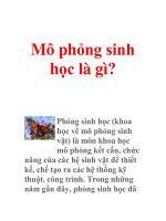 Mô phỏng sinh học là gì? potx