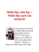 Nhiên liệu sinh học – Nhiên liệu sạch của tương lai ppt