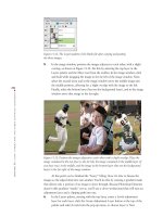 Photoshop Elements 3 Solutions: The Art of Digital Photography- P11 doc