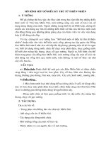 Mô hình: Một số điều kỳ thú từ thiên nhiên