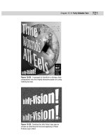 Photoshop 6 for Windows Bible- P26 potx