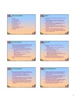 The Linux System potx