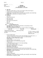 Khối 2_Tuần 28_Mới