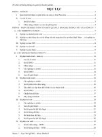 tiểu luận nghiên cứu, phân tích việc ứng dụng hệ thống thông tin trong quản lý doanh nghiệp tại công ty tnhh tân phạm gia