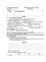 Đề thi HKI -Hóa 9- năm học:2009-2010