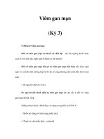 Viêm gan mạn (Kỳ 3) pps