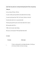 Quyết định công nhận ban vận động thành lập hiệp hội thể thao ở địa phương pot