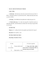 Giáo án Hoá học lớp 9 - MỘT SỐ MUỐI QUAN TRỌNG doc