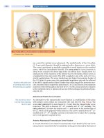 Spinal Disorders: Fundamentals of Diagnosis and Treatment Part 39 ppt