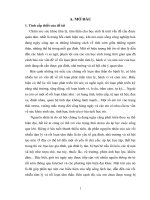 thực trạng rối nhiễu hành vi của học sinh trường trung học cơ sở kim đồng - quận hải châu- tp. đà nẵng