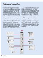 Photoshop cs5 by steve Johnson part 2 pptx