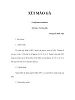 XÙI MÀO GÀ (Condyloma acuminata) ppt