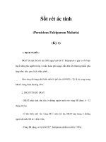 Sốt rét ác tính (Pernicious Falciparum Malaria) (Kỳ 1) potx