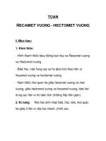 Toán decamet vuông - hectomet vuông doc