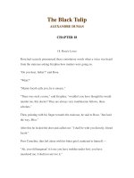 LUYỆN ĐỌC TIẾNG ANH QUA CÁC TÁC PHẨM VĂN HỌC –The Black Tulip ALEXANDRE DUMAS CHAPTER 18 pps