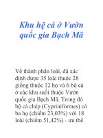 Khu hệ cá ở Vườn quốc gia Bạch Mã pps