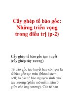 Cấy ghép tế bào gốc: Những triển vọng trong điều trị (p-2) potx