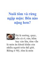 Nuôi tôm và rừng ngập mặn: Bên nào nặng hơn? potx