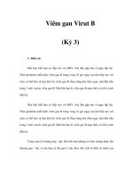 Viêm gan Virut B (Kỳ 3) potx