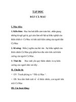 TẬP ĐỌC ĐẤT CÀ MAU ppsx