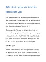 Nghĩ về sức sống của tinh thần doanh nhân Việt potx
