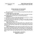 Hướng dẫn bầu cử