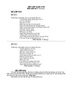 Đề KT Ngữ văn 9