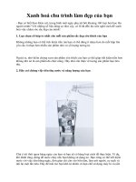 Xanh hoá chu trình làm đẹp của bạn pot