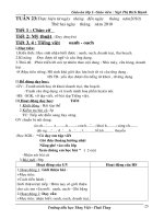 Bài soạn 1. Tuần 23