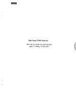 ngân hàng tnhh indovina báo cáo tài chính cho năm kết thúc ngày 31 tháng 12 năm 2013