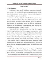 Tổ chức lãnh thổ công nghiệp ở TP. Cần Thơ