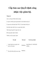 Cấp bản sao Quyết định công nhận việc giám hộ potx