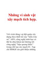 Những vi sinh vật xây mạch tích hợp. docx
