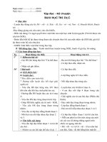 Bài soạn tuần 29 (3 cột ) CKT