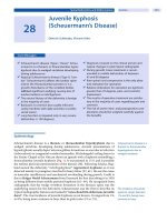 Spinal Disorders: Fundamentals of Diagnosis and Treatment Part 78 docx