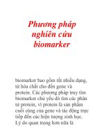 Phương pháp nghiên cứu biomarker docx